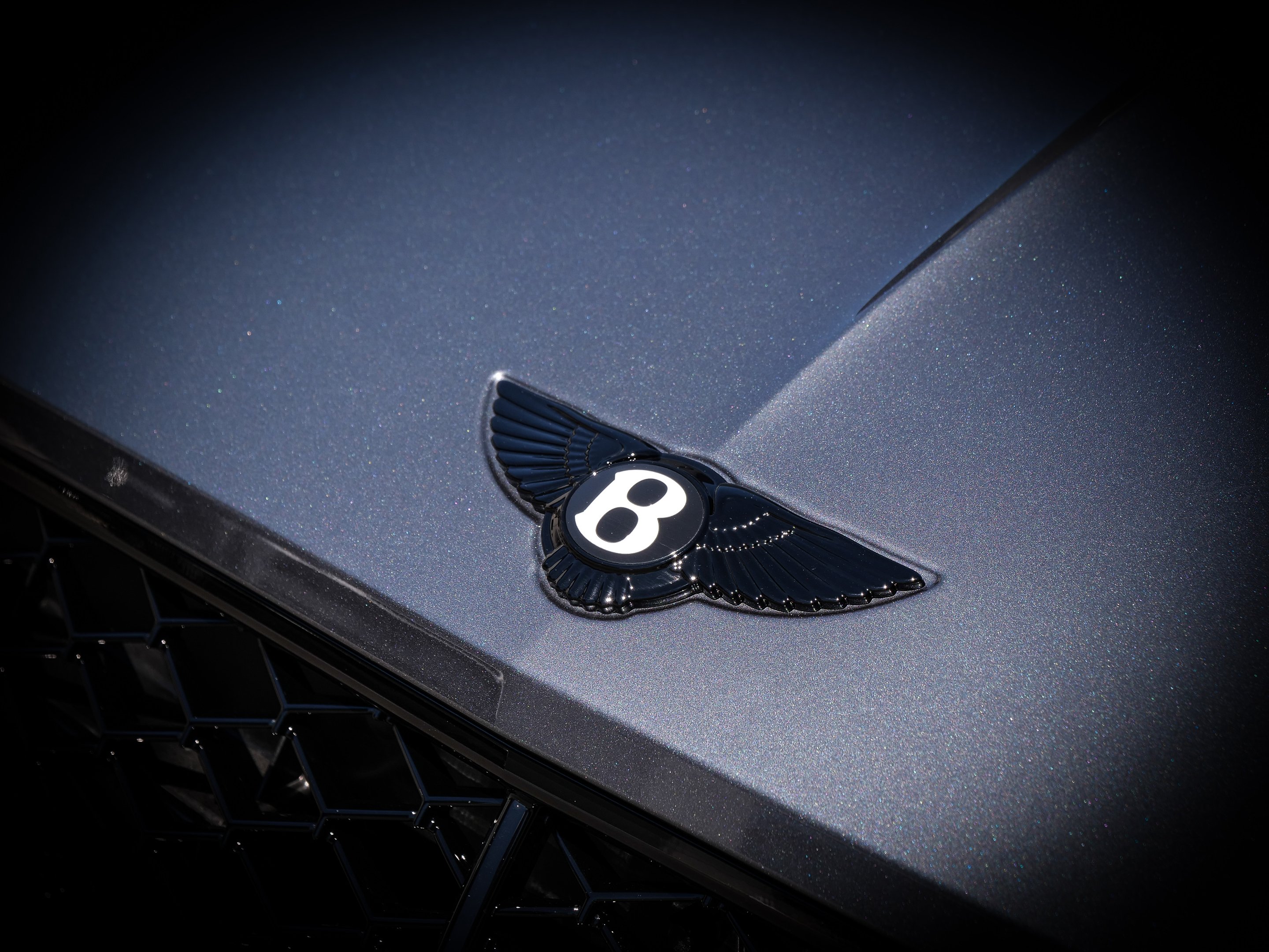 Bentley Continental 4,0 500 kW Automatik, 100 km, Deutschland — Foto 13 von 30