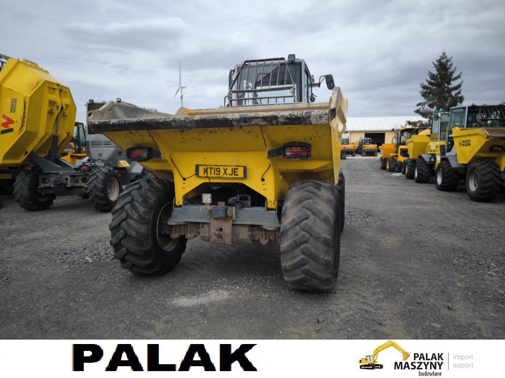 Dumper Wacker Neuson Baujahr 2019, 4.993 mth, Import Auf Lager in der EU — Foto 4 von 22